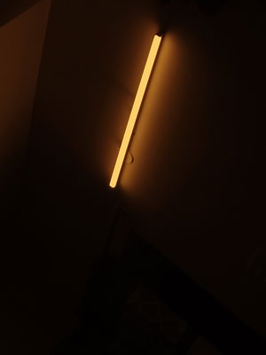 kik00000's Profile Photo