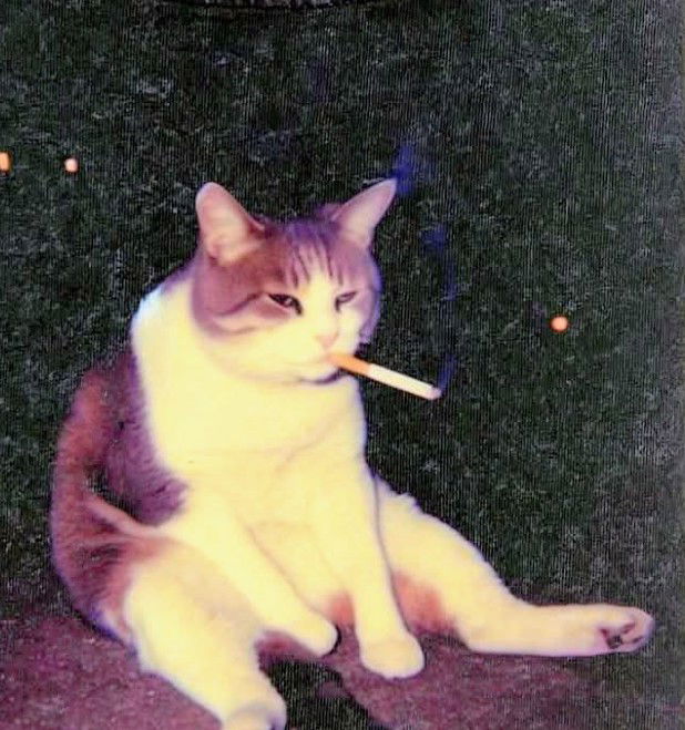 Himmm's Profile Photo