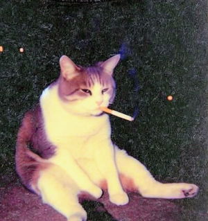 Himmm's Profile Photo