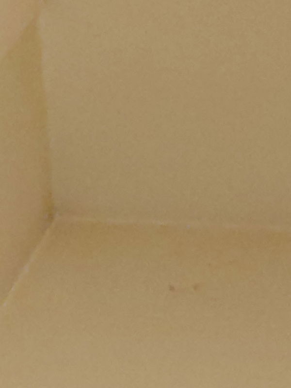 snapchatvic, 22 years old from Belgium