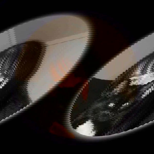 Averie41, 21 years old from United Kingdom