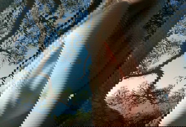 penfitaye's Profile Photo