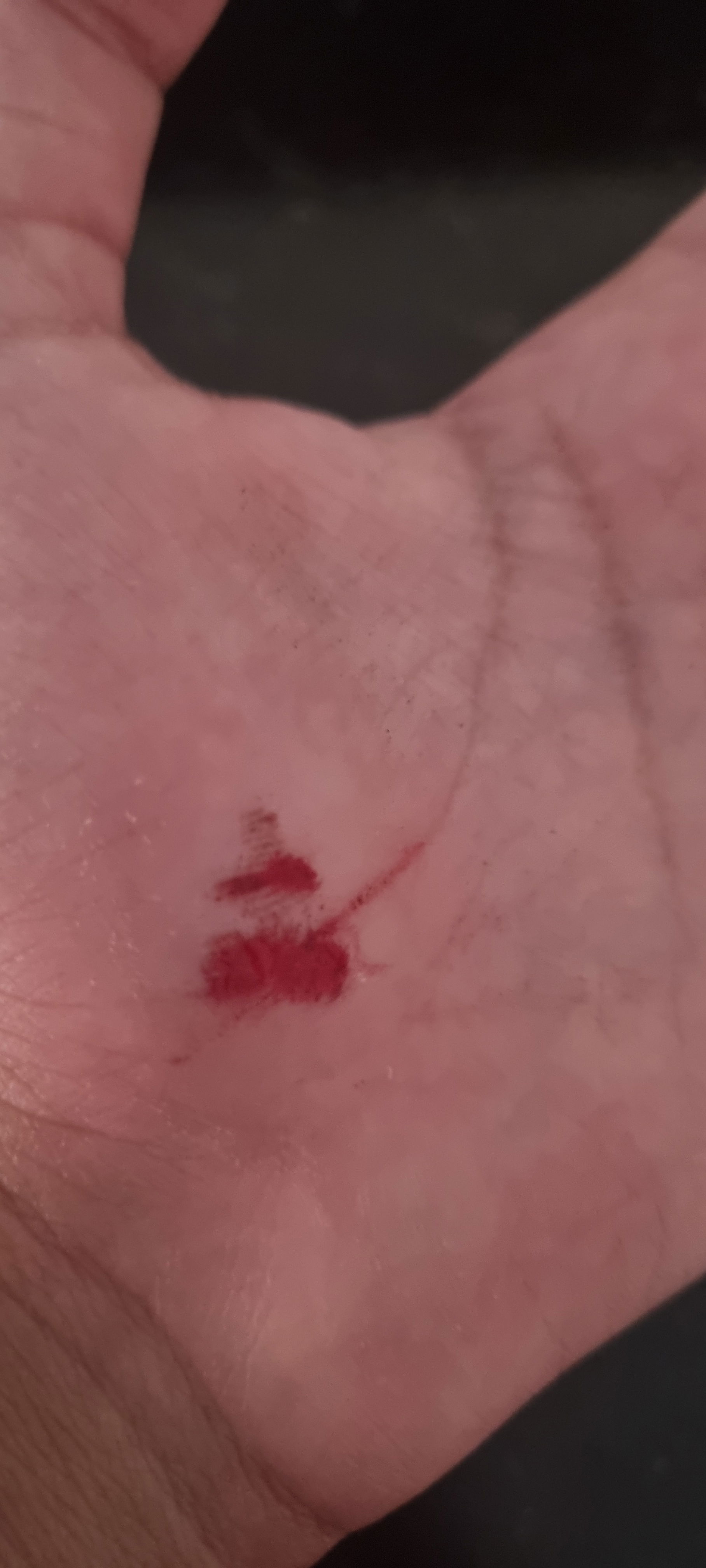 leo127's Profile Photo