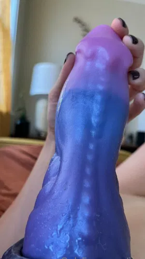 jfoster, 20 years old from United States