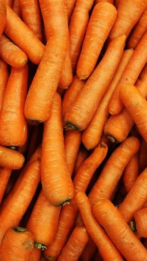 Kwbei2's Profile Photo