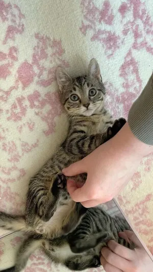 Oliva43oy, 19 years old from United States