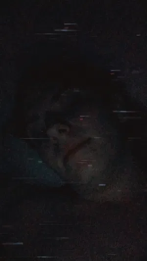 baumdavid's Profile Photo