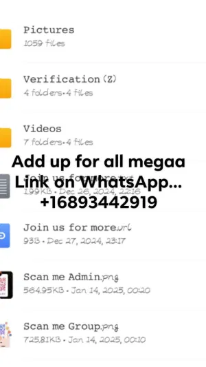 Linkmega65, 20 years old from United States