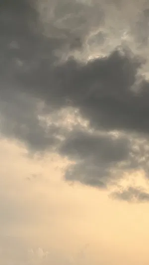 Dencoop's Profile Photo