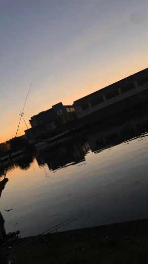 Brandon2001, 23 years old from United Kingdom