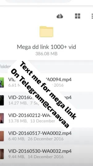 Feeweebb's Profile Photo