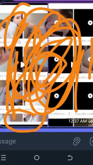 Telegram's Profile Photo