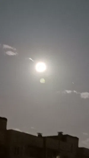 tshan334's Profile Photo