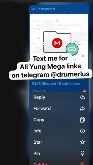 Megacheaplinks, 19 years old from United States