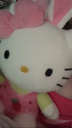 Losaaannn6's Profile Photo