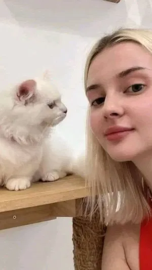 jtkutg55, 22 years old from United Kingdom