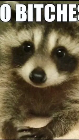 Pedelfar1's Profile Photo