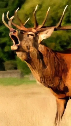 xxxdaddyusingyou's Cover Photo