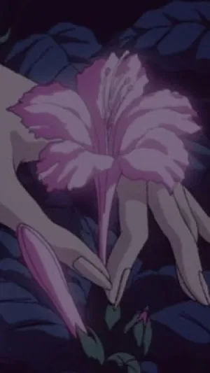 Lilly_flow3r, 19 years old from United States