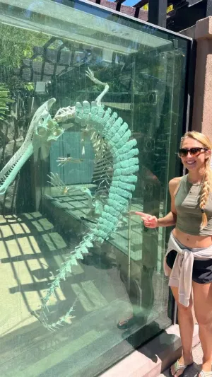 sfaer3w, 24 years old from Canada