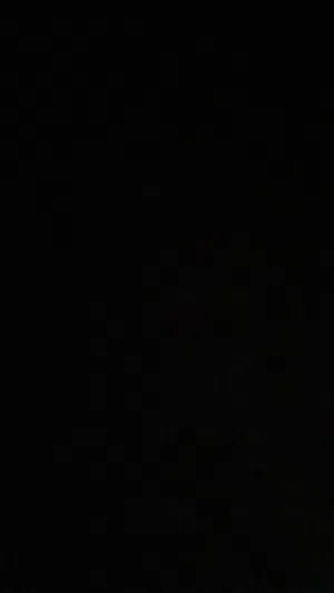 lamfao's Profile Photo