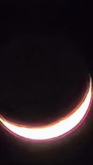 alebellious's Profile Photo