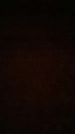 leopith55969's Profile Photo