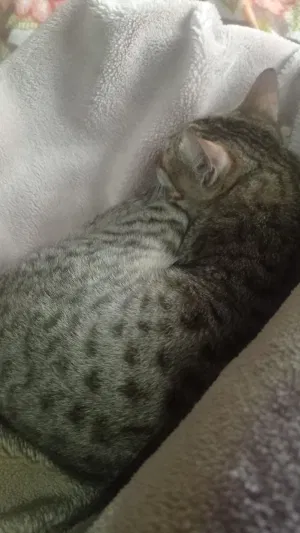 guypervert552's Profile Photo