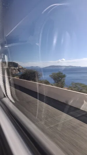 thorn18's Profile Photo