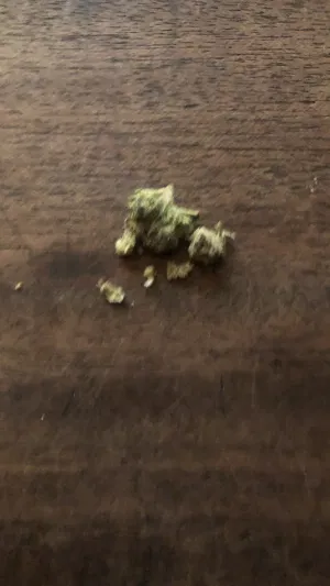 Ihaveabwd's Profile Photo