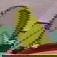 DJ1025's Profile Photo