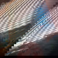 Neodork, 18 years old from Canada