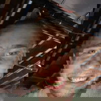 PRaider, 21 years old from United States