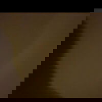 Petar's Profile Photo