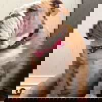 Tasteyou's Profile Photo