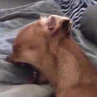 TheQuestioner's Profile Photo