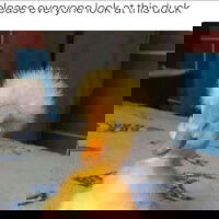 Willyam, 18 years old from United Kingdom