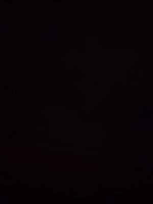 aash's Profile Photo