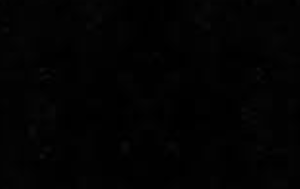 adin123123's Profile Photo