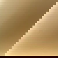 aiden_maccy21's Profile Photo