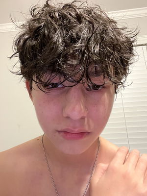 alanhendy12's Profile Photo