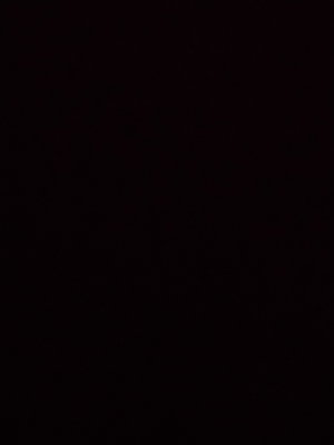 alex1223's Profile Photo