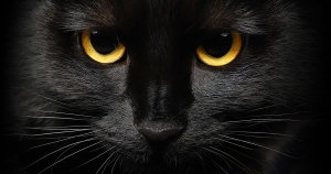 alexbaso's Profile Photo