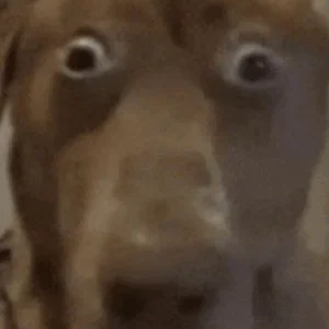 alexthelink's Profile Photo