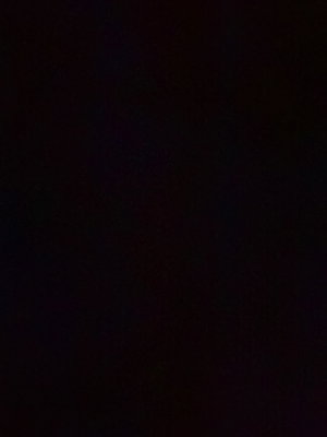ally20268620's Profile Photo