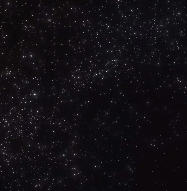 Anthony's Profile Photo