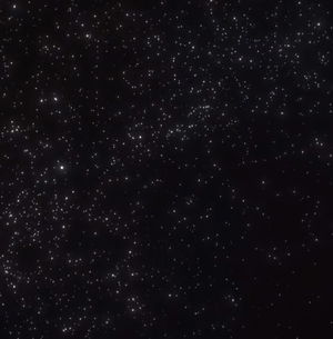 Anthony's Profile Photo