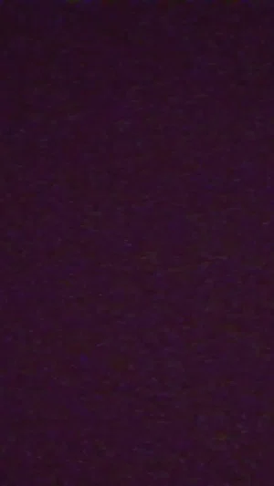 apfishjunior's Profile Photo