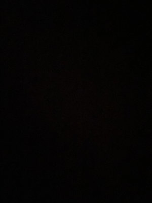auggiesnow2's Profile Photo