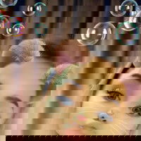 ayeesha01, 21 years old from United States